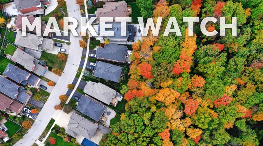 Market watch - october 2024 thumbnail.