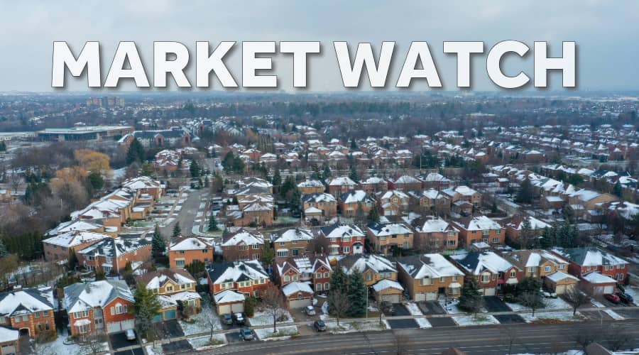 Market Watch - November 2024 thumbnail.